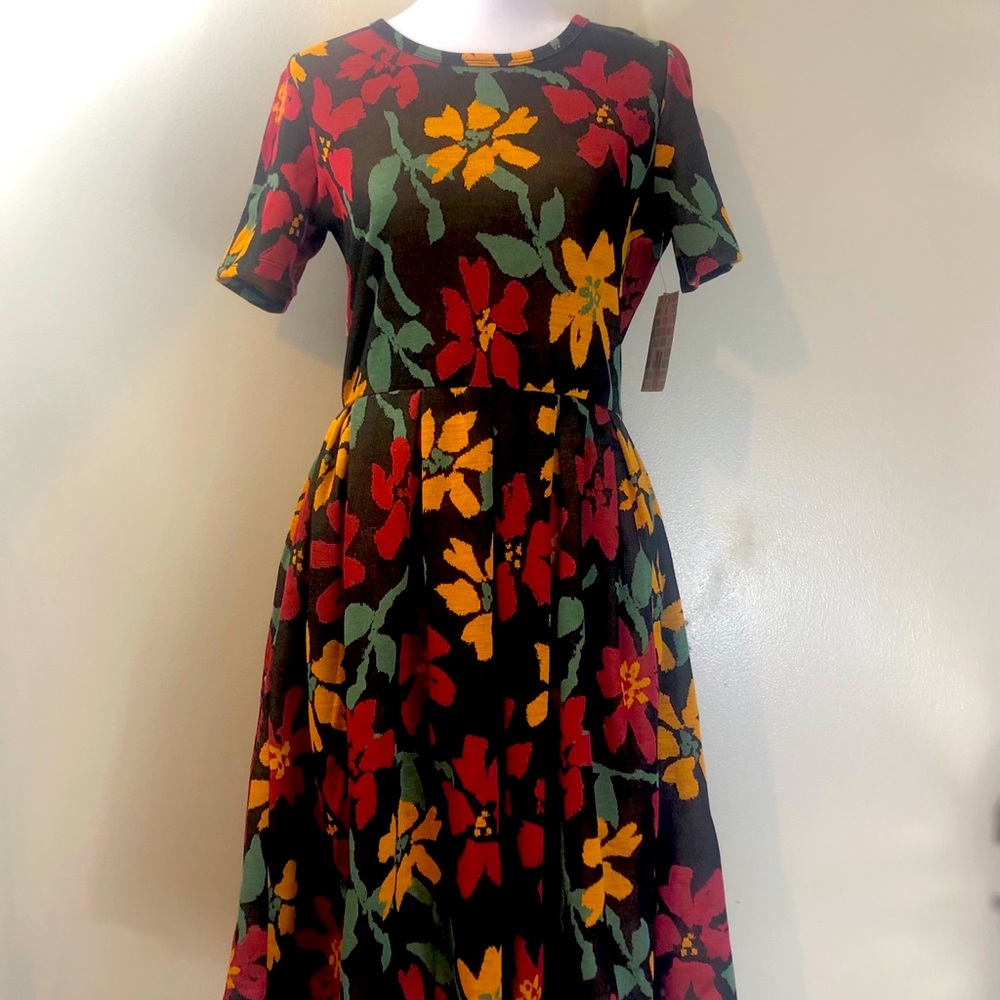 NWT LuLaRoe Amelia Dress
